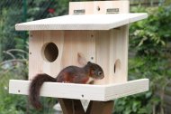 Inserat Eichhörnchenfutterhäuser