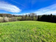 Inserat Baugrund Eigenheim in Graz zu kaufen - 1606/16724