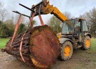 Inserat Säge und Hobelwerk Tischlerei Brennstoff