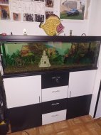 Inserat AquariumBecken